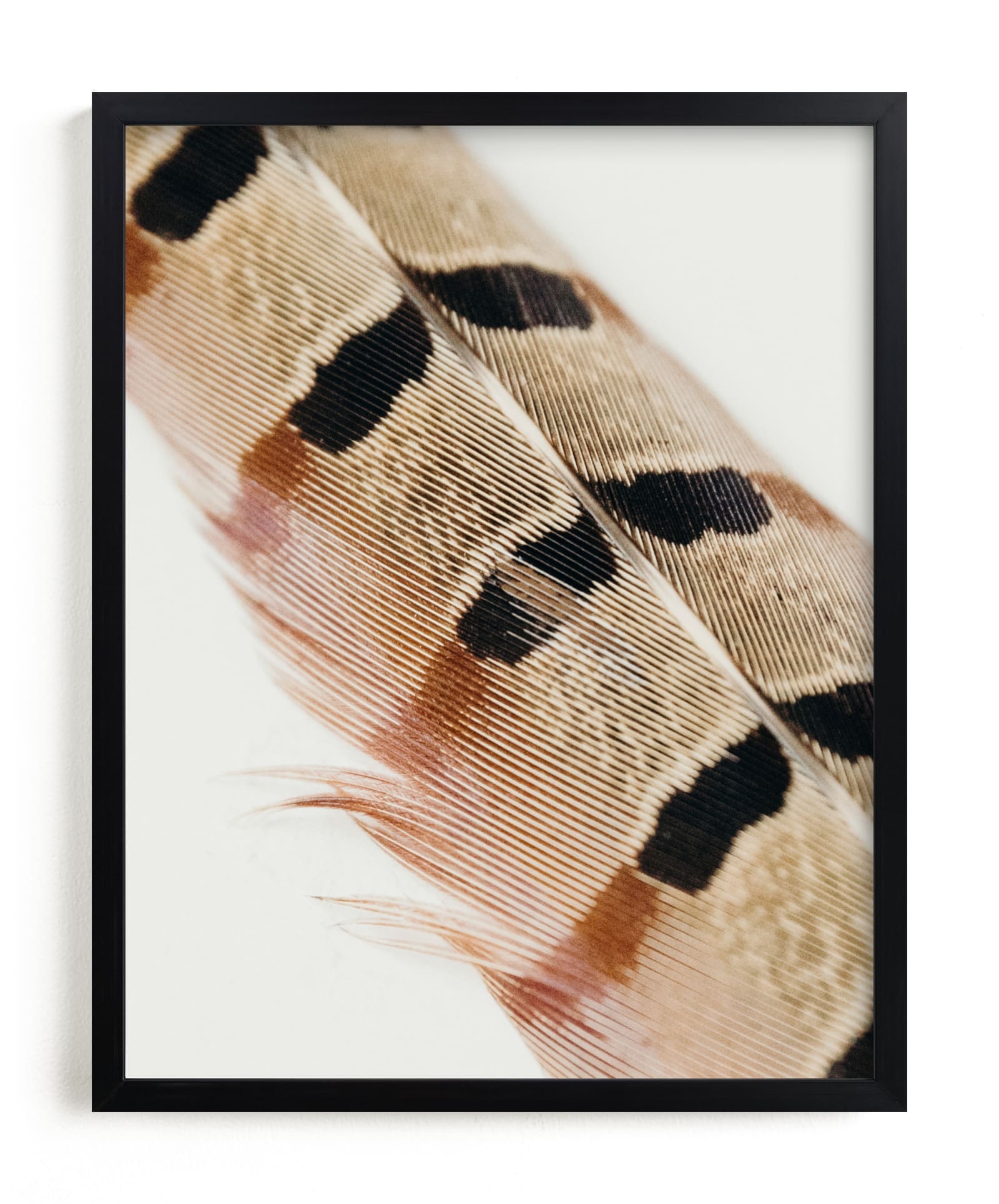 Feather Study I Limited Edition Fine Art Print 2 - Image 0