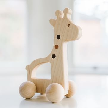 Giraffe Push Toy - Image 0