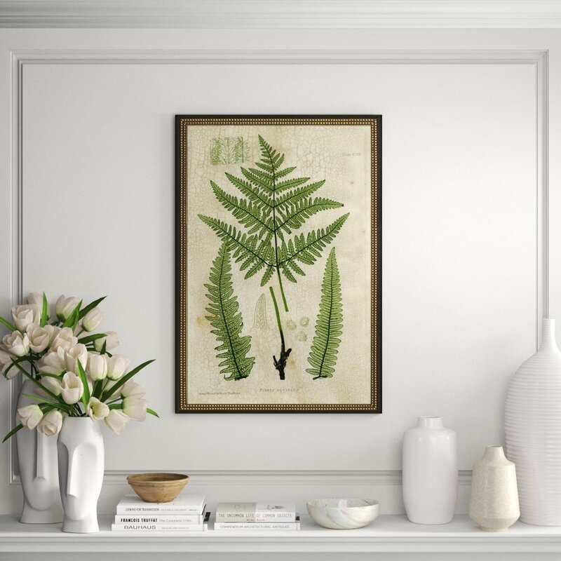 Wendover Art Group Large Bradbury Fern I - Picture Frame Drawing Print on Canvas - Image 0