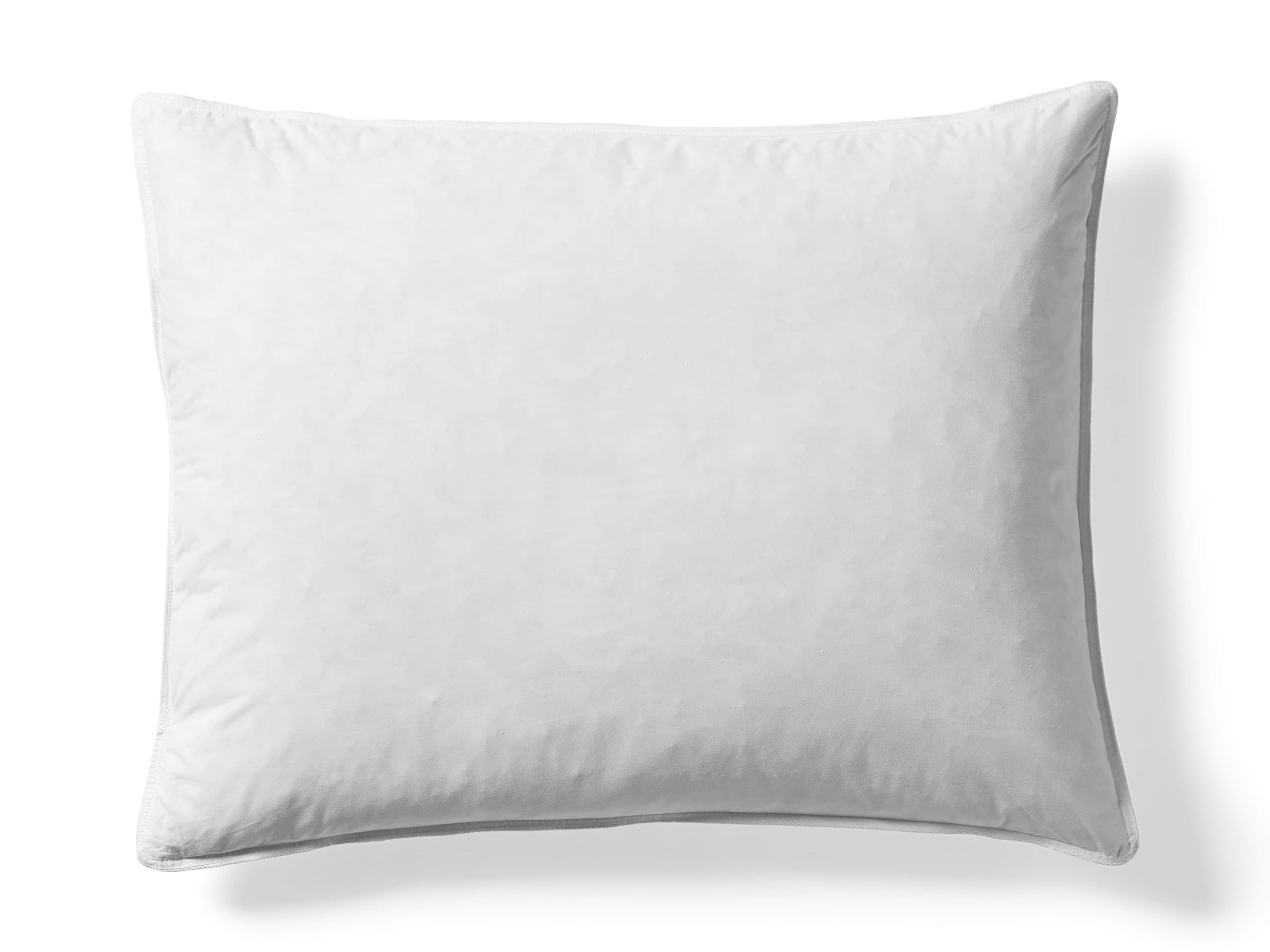 Pillow Insert in Cotton Standard White - Image 0
