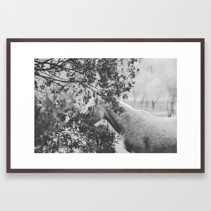 Horse Ii _ Photography Framed Art Print by Florent Bodart / Speakerine - Conservation Walnut - Large 24" x 36"-26x38 - Image 0
