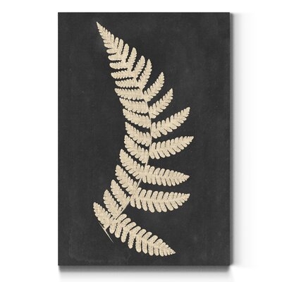'Linen Fern IV' - Wrapped Canvas Painting Print - Image 0
