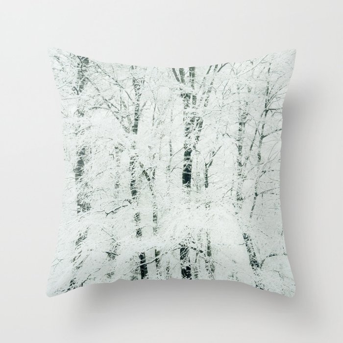 Frosted Throw Pillow by Dorit Fuhg - Cover (20" x 20") With Pillow Insert - Indoor Pillow - Image 0