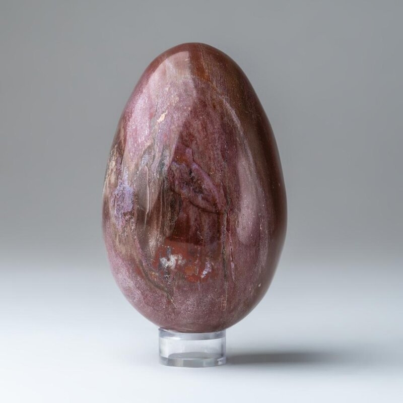 Astro Gallery of Gems Petrified Wood Egg Sculpture - Image 0