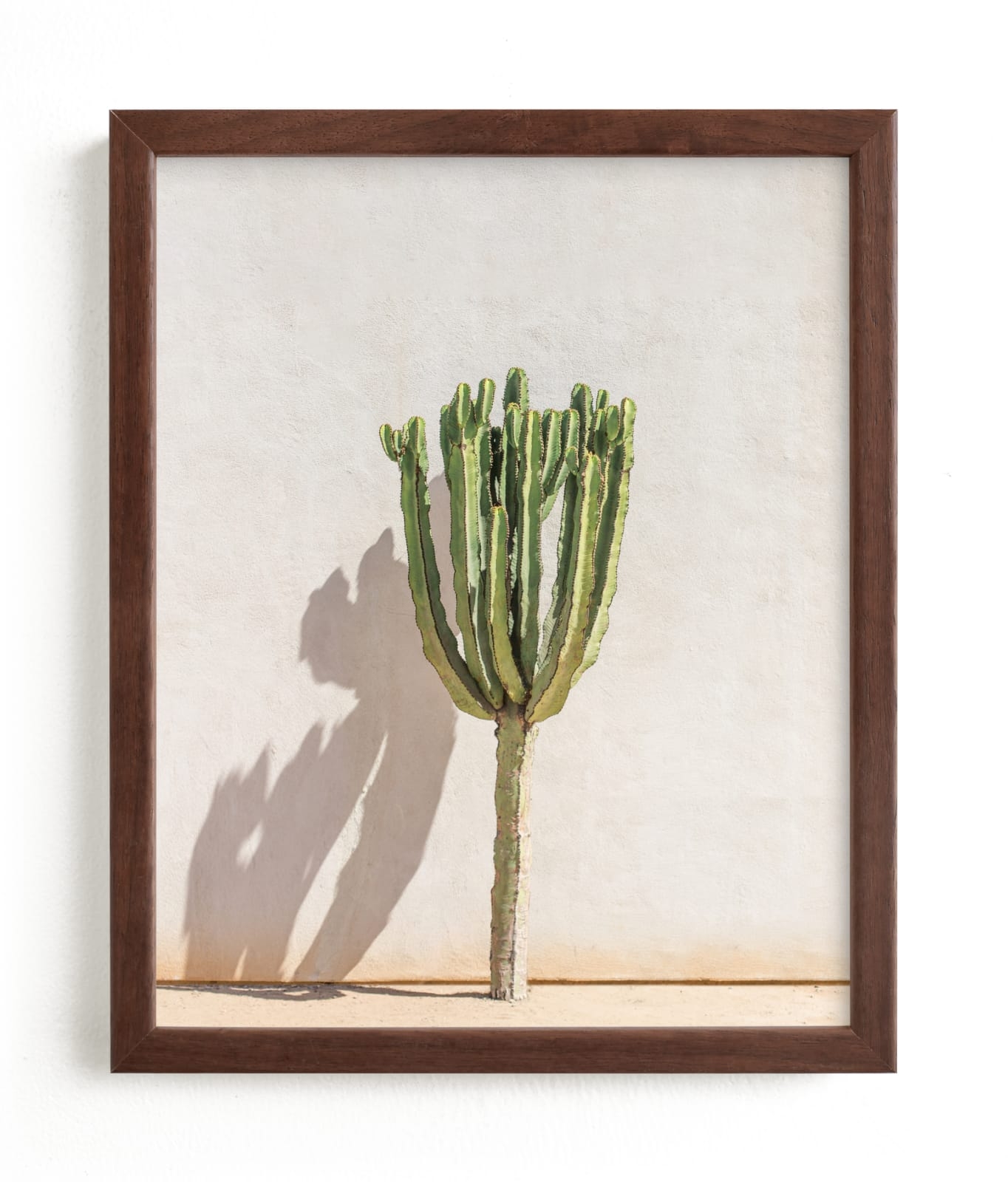 Lone Cactus Limited Edition Fine Art Print 2 - Image 0