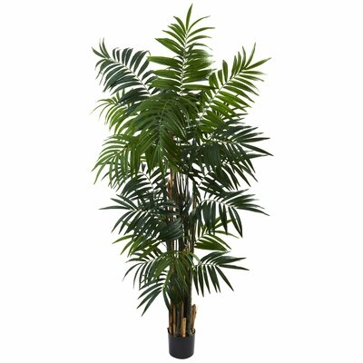 66" Artificial Palm Tree in Pot - Image 0