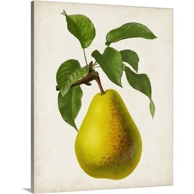 Antique Fruit VII Canvas Wall Art - Image 0