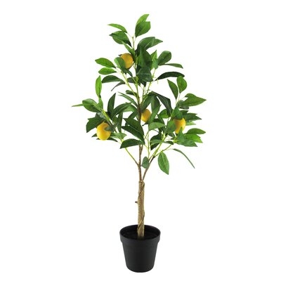 2.5Ft Real Touch Lemon Tree In Pot - Image 0