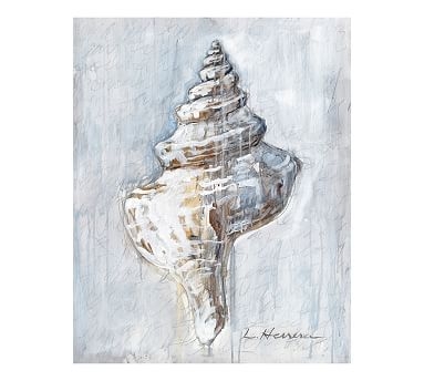 Shell Study #1 Canvas Print by Lauren Herrera, 16" x 20" - Image 0