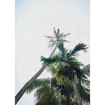 Plants Palm Tree 49 Area Rug - Image 0