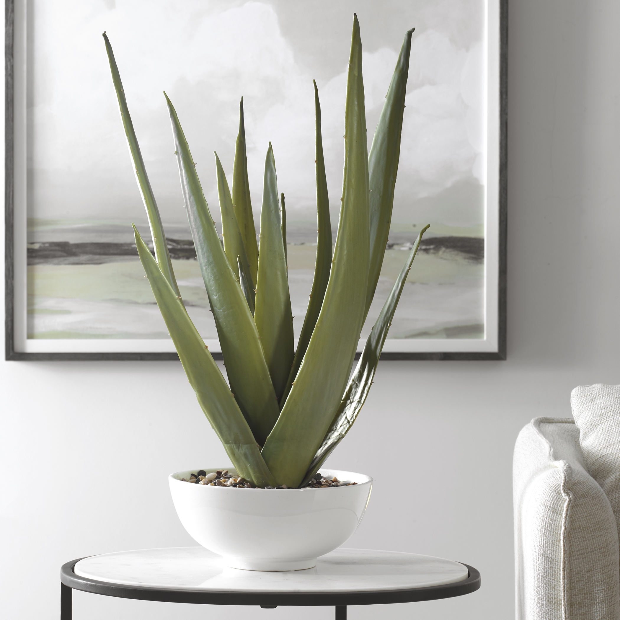 Evarado Aloe Planter - Image 1