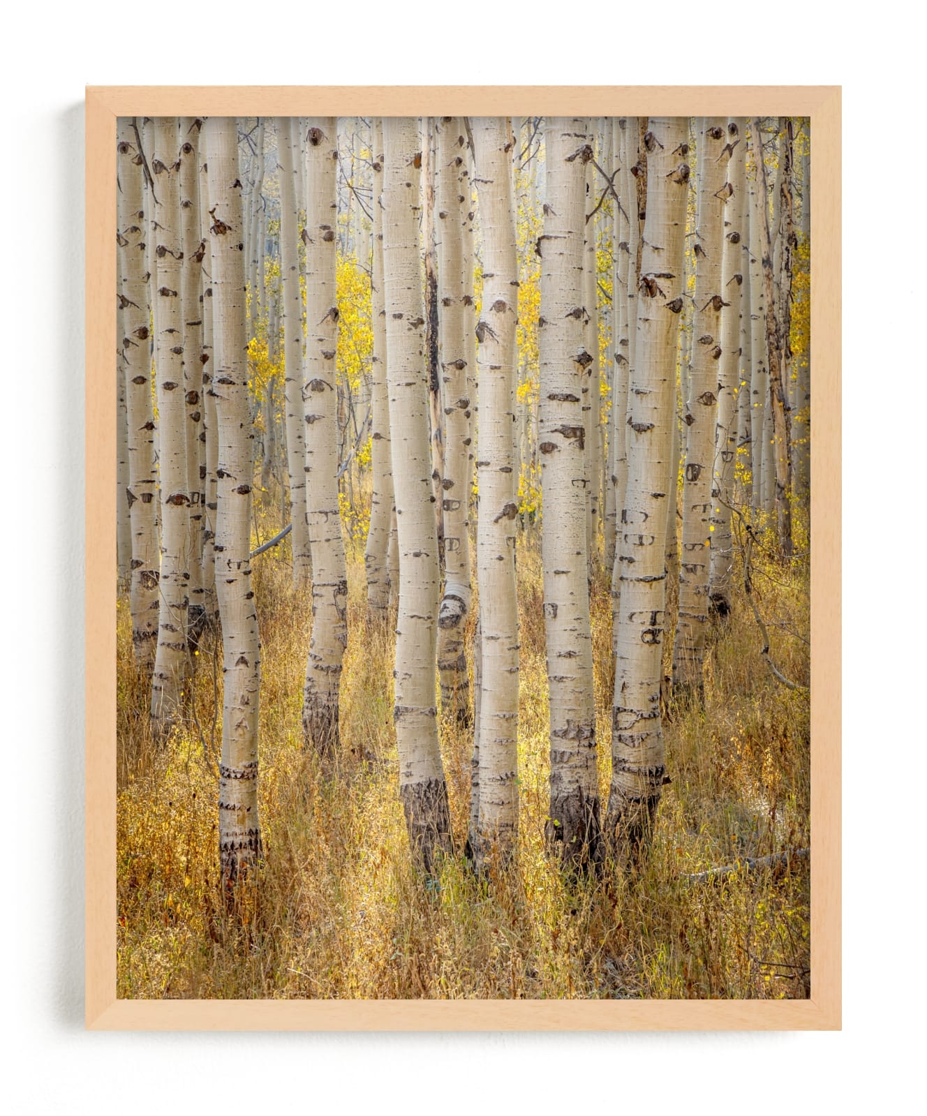 Filtered Light Limited Edition Fine Art Print 2 - Image 0