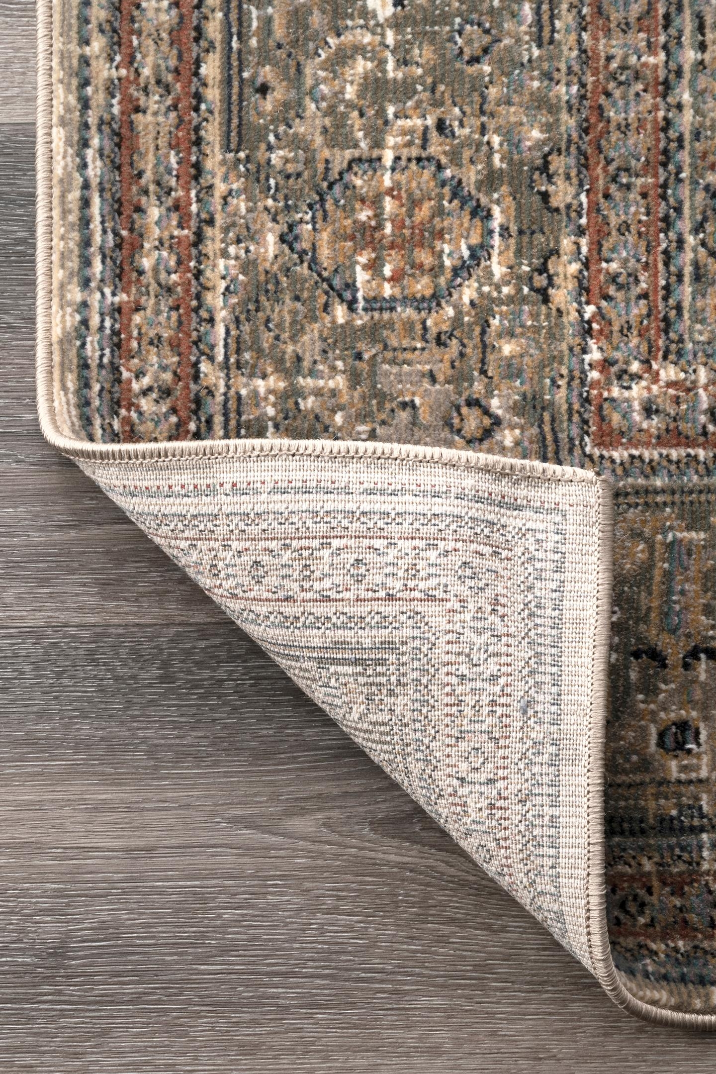 Traditional Carol Medallion Area Rug - Image 3