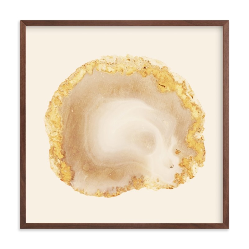 Rocks & Minerals 2 Limited Edition Fine Art Print 1 - Image 0