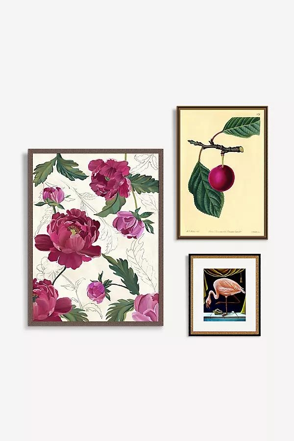 Fuchsia Botanicals Gallery Wall Art - Image 0