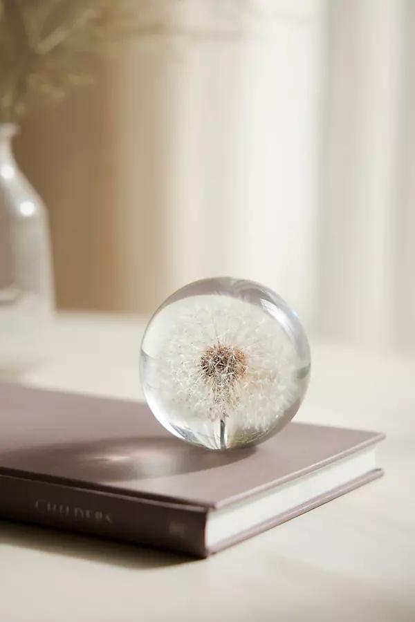 Botanical Resin Paperweight - Image 0