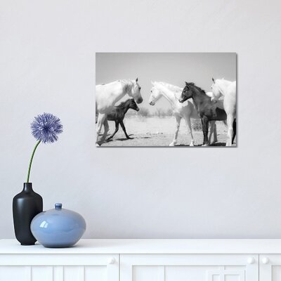 Arab Horse Family by - Wrapped Canvas - Image 0