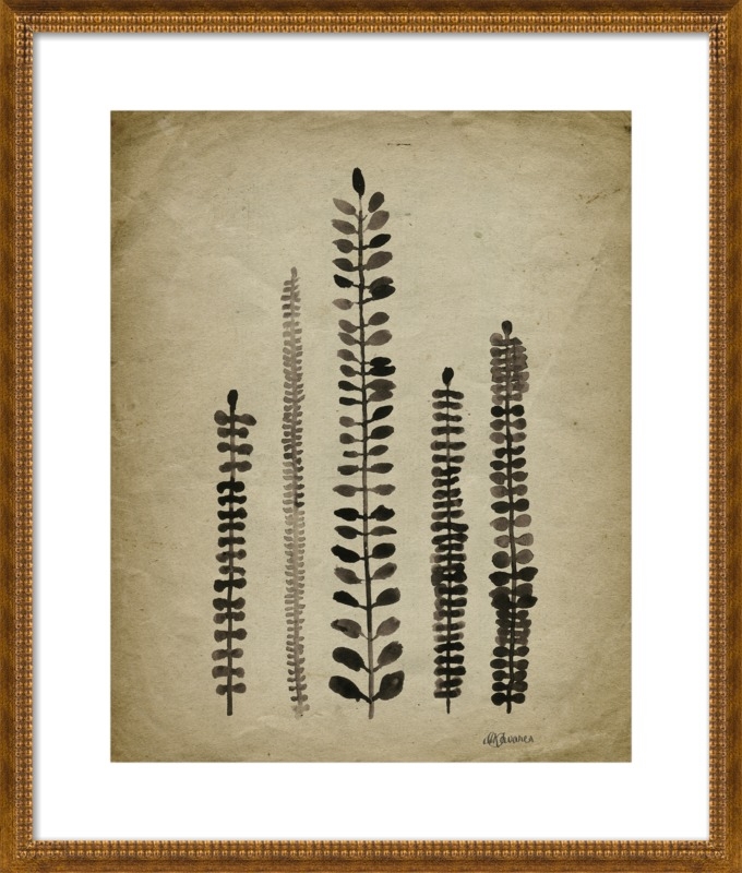 Rustic Ferns by Michelle Tavares for Artfully Walls - Image 0