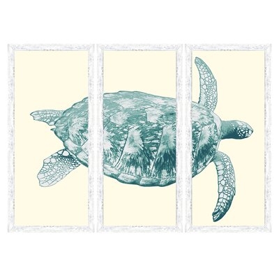 'Sea Turtle' - 3 Piece Picture Frame Graphic Art Print Set on Paper - Image 0