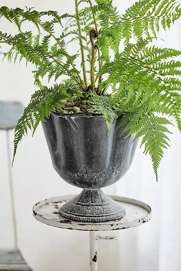 Ridged Iron Urn - Image 0