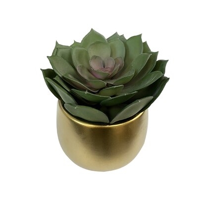 Artificial Echeveria Succulent in Pot - Image 0
