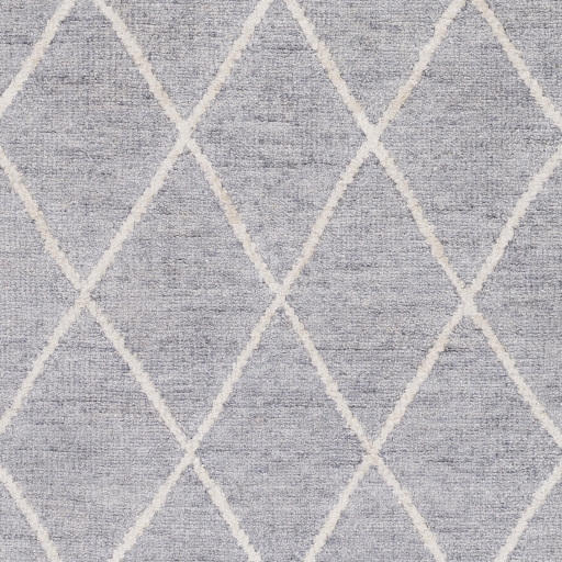 Jaque Gray Indoor 4' x 6' Handmade Rug - Image 1