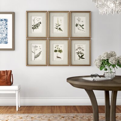 Floral Botanical Study by Grace Feyock, Picture Frame Graphic Art, Set of 6 - Image 1