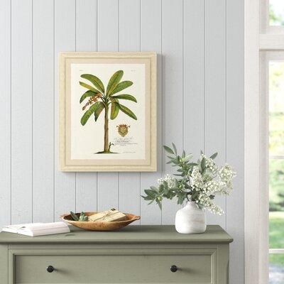 'Banana Palm Tree III' Picture Frame Print - Image 0