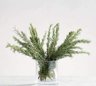 Live Rosemary, 5 Bunches - Image 1