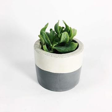 Settlewell Concrete Vase, Dark Gray - Image 1