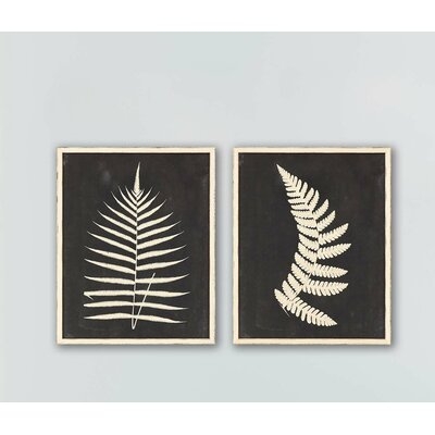 'Linen Fern II S/2' by Vision Studio - 2 Piece Picture Frame Print Set on Paper - Image 0