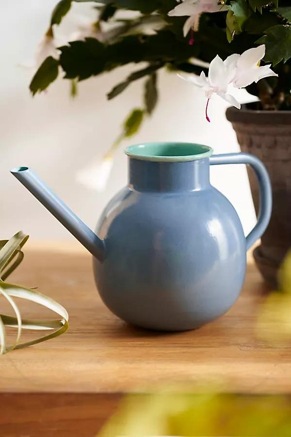 Milo Iron Watering Can - Image 0
