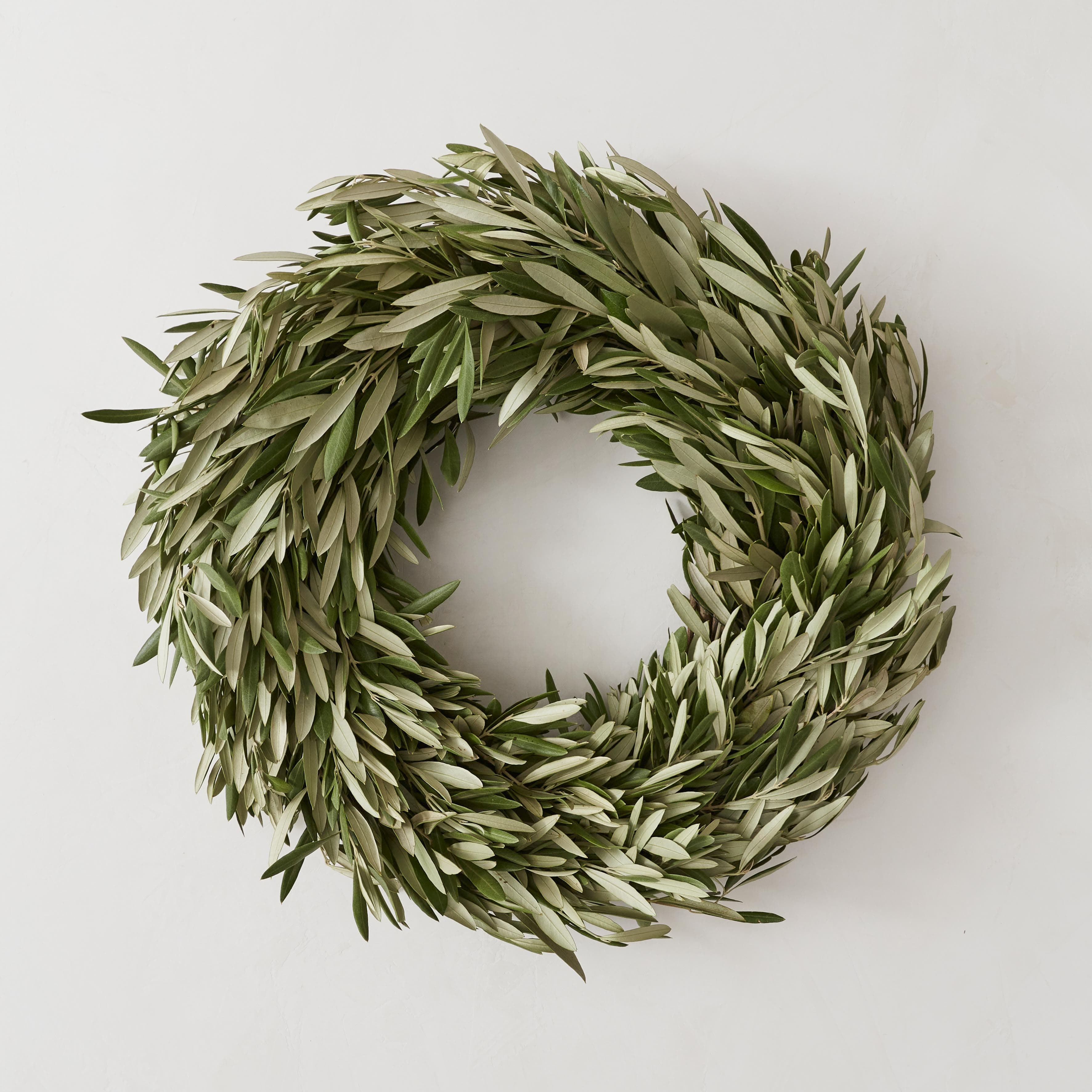 The Citizenry Fresh Olive Wreath | Large | Green - Image 0