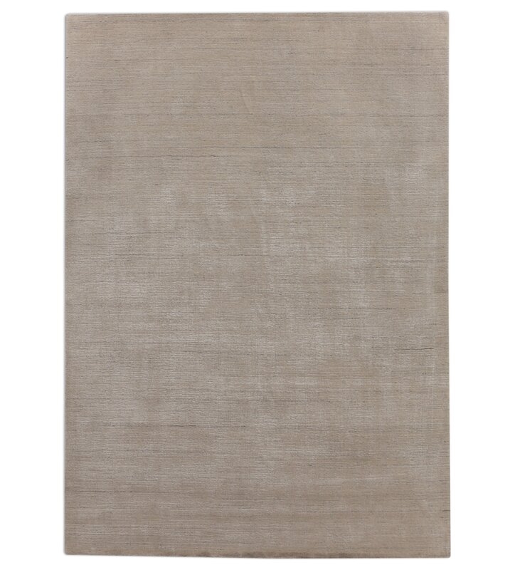 EXQUISITE RUGS Palazzo Hand Loomed Area Rug in Light Gray/Beige - Image 0