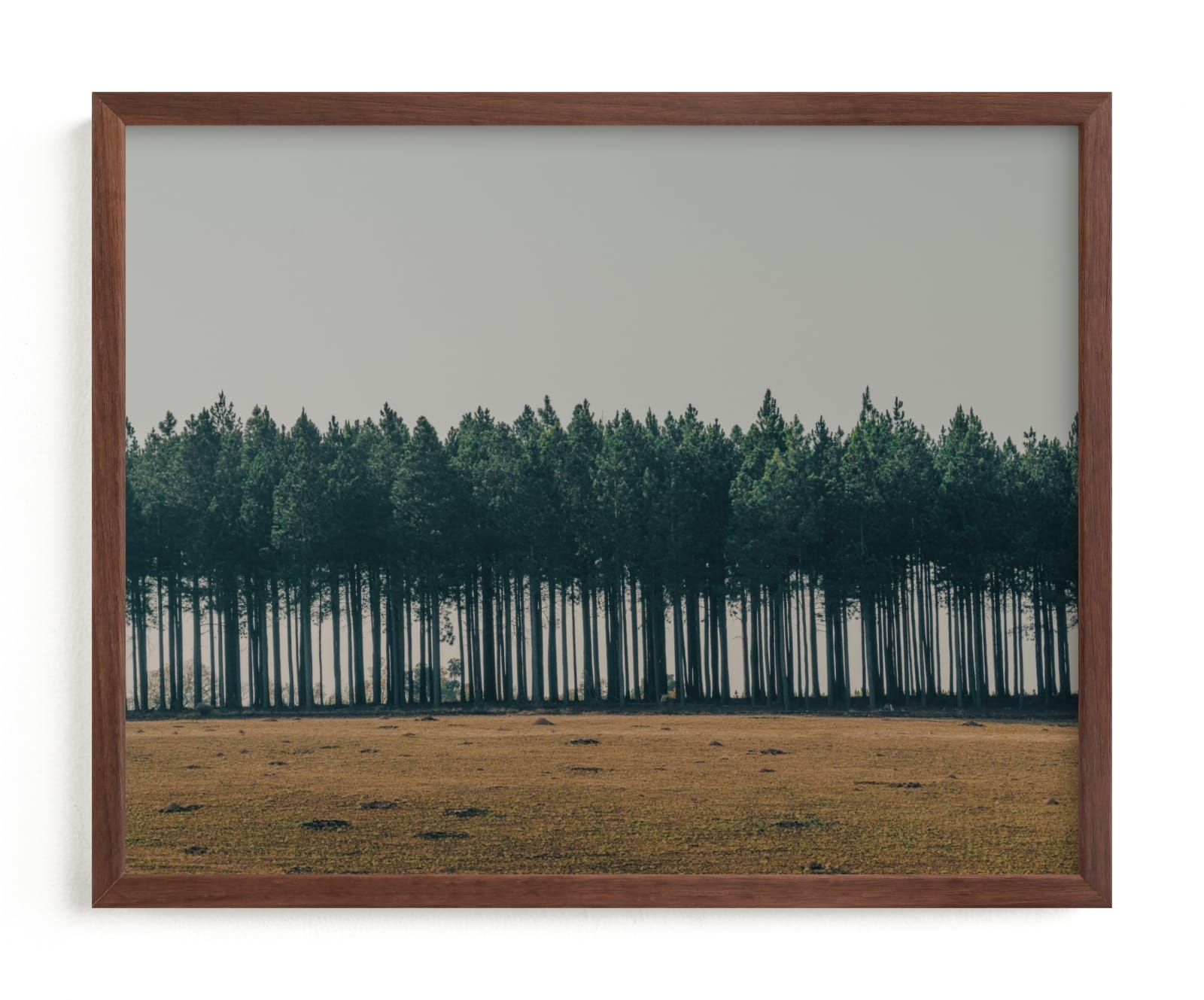 Moody Trees Limited Edition Fine Art Print 2 - Image 0