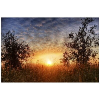 Colorful Nature Sunset - Unframed Photograph Print on Metal - Image 0