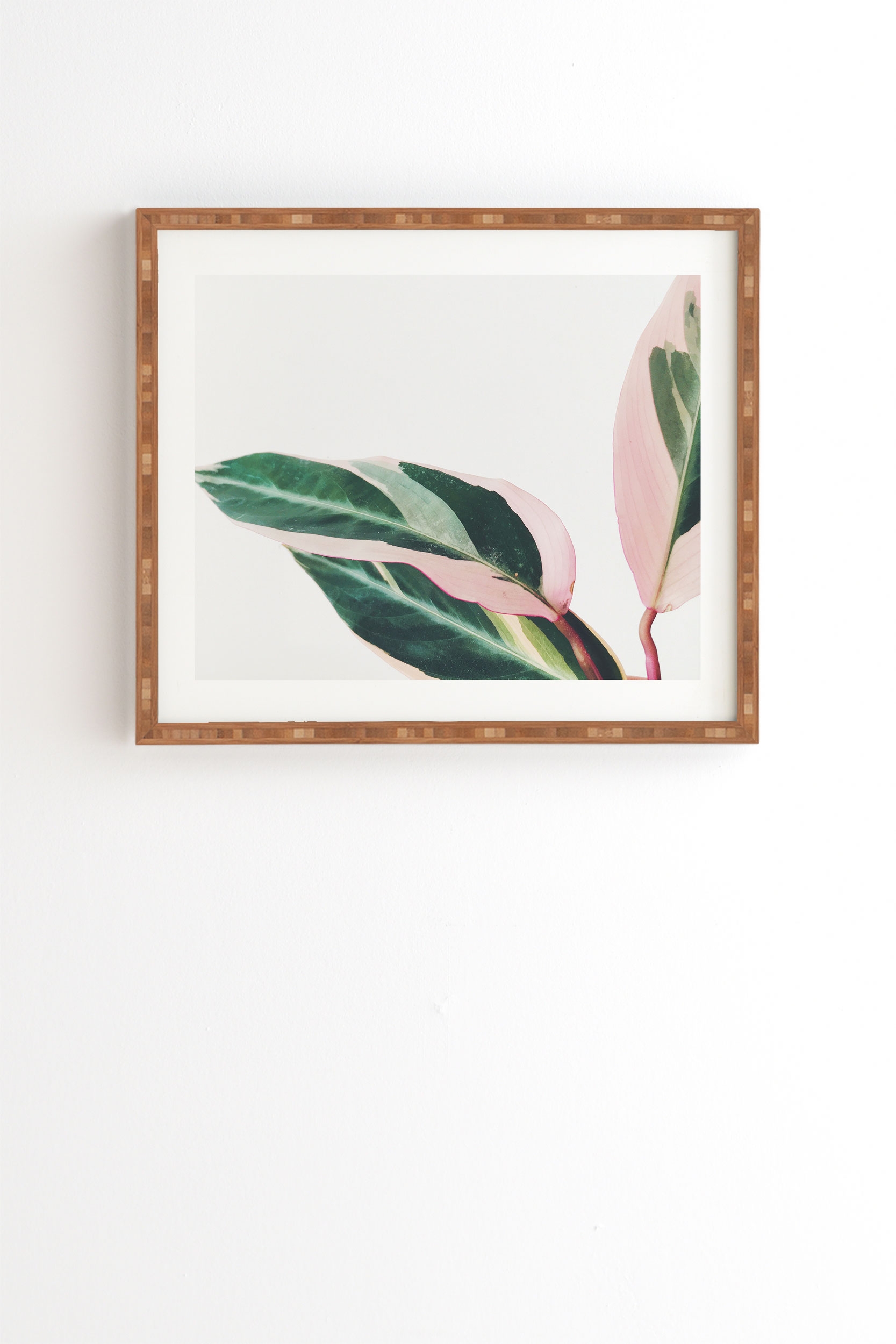 Pink Leaves Ii by Cassia Beck - Framed Wall Art Bamboo 20" x 20" - Image 1