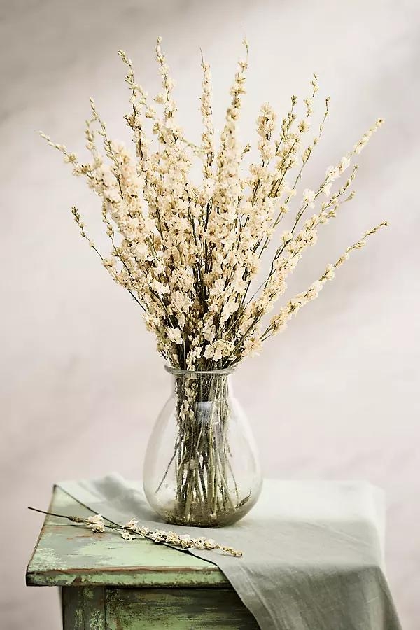 Dried Larkspur Bunch - Image 0