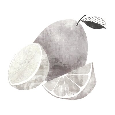 Gray Shaded Fruit With Black And White - Wrapped Canvas Painting Print - Image 0