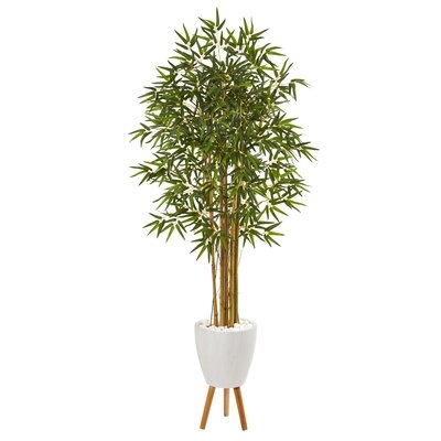 74 Multi Bambusa Bamboo Artificial Tree In White Planter With Stand" - Image 0