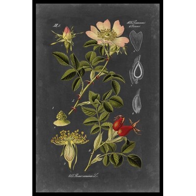 Midnight Botanical I by Vision Studio Graphic Art Print on Canvas - Image 0