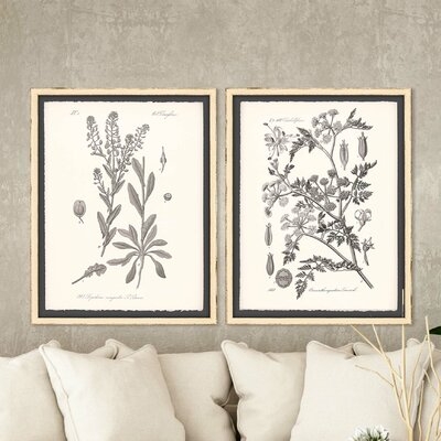 'Gray Botanicals II' - 2 Piece Picture Frame Graphic Art Set on Paper - Image 0