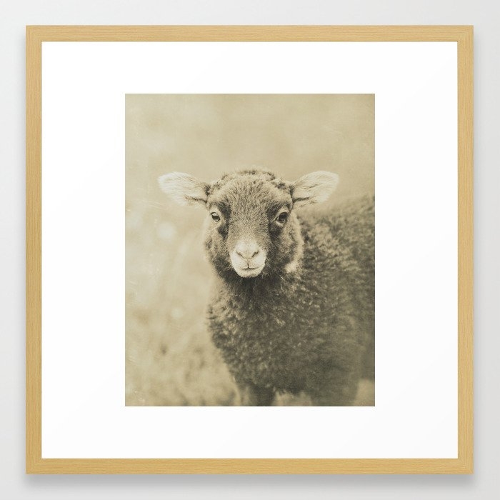Little Lamb Framed Art Print by Christina Lynn Williams - Conservation Natural - MEDIUM (Gallery)-22x22 - Image 0
