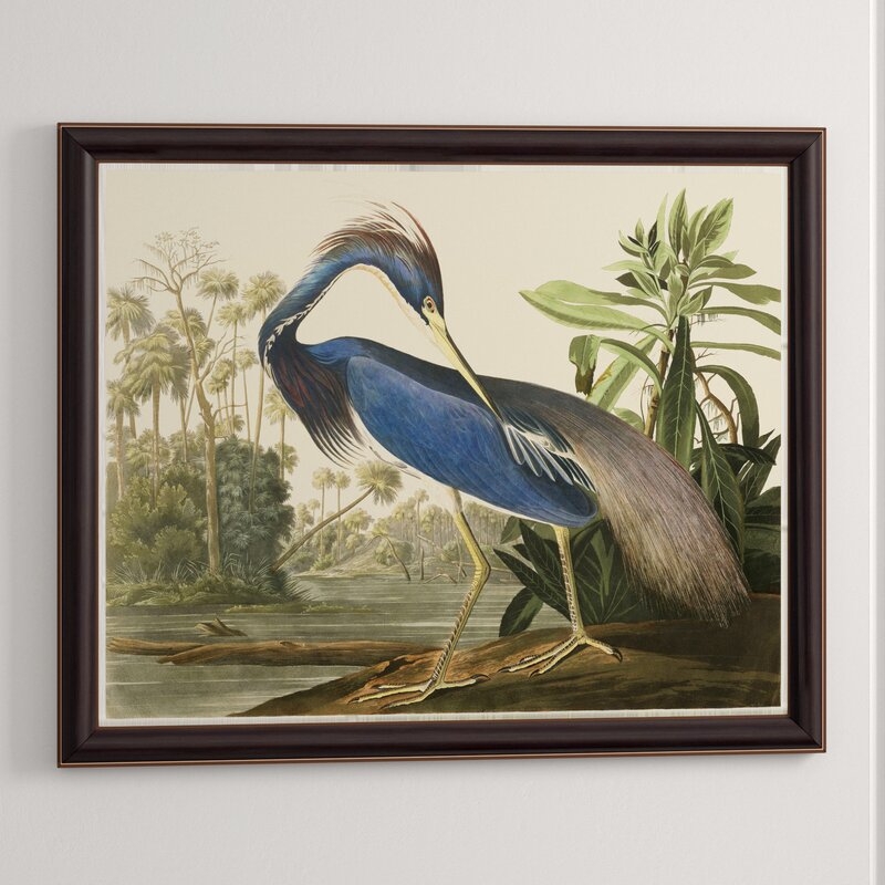 Soicher Marin Louisiana Heron - Picture Frame Graphic Art on Paper - Image 0