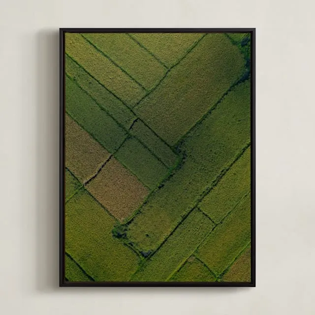 Above The Paddy Limited Edition Fine Art Print