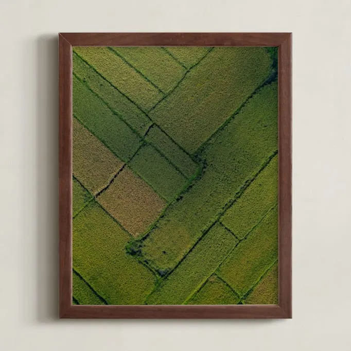 Above The Paddy Limited Edition Fine Art Print