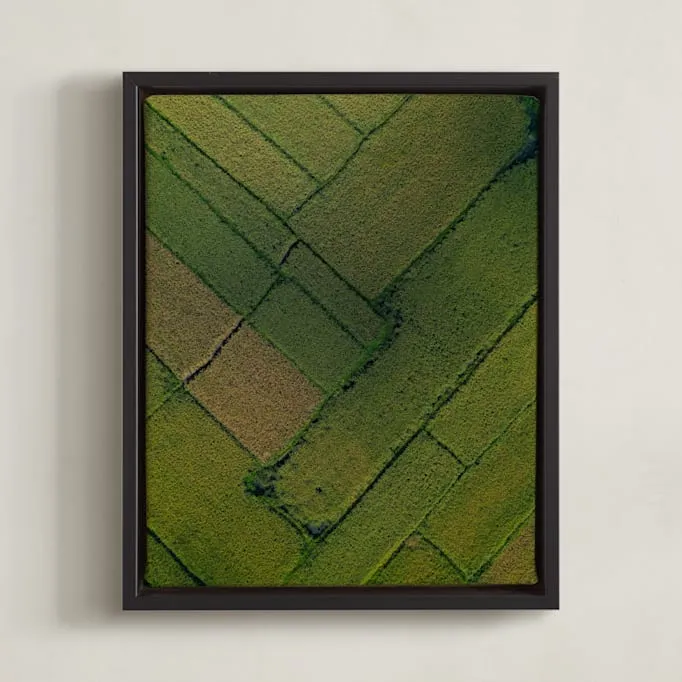 Above The Paddy Limited Edition Fine Art Print