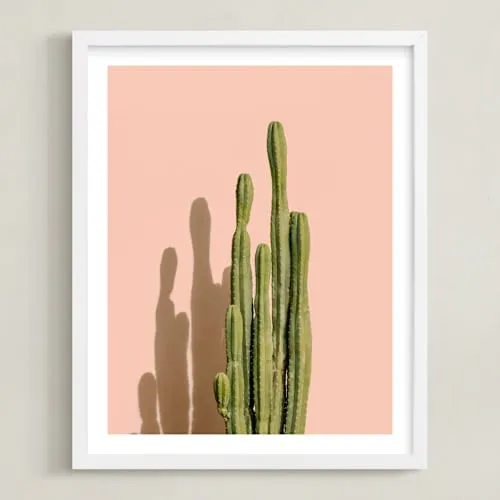 Palm Desert Cactus Open Edition Fine Art Print