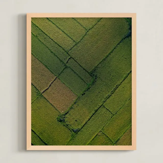 Above The Paddy Limited Edition Fine Art Print