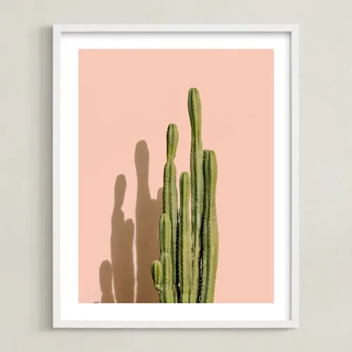 Palm Desert Cactus Open Edition Fine Art Print